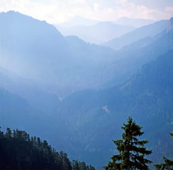 Bavarian Alps