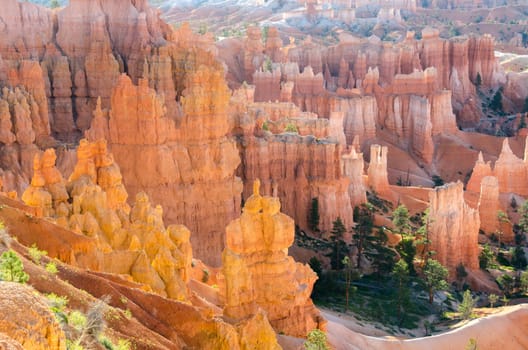 Bryce Canyon National Park in Utah in the United States of America