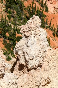 monkey -shaped rock in Bryce Canyon National Park in Utah in the United States of America