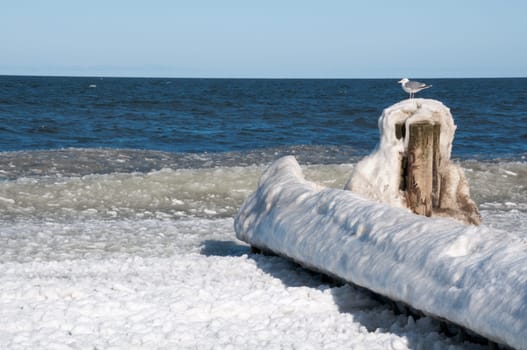 Ice Baltic Sea