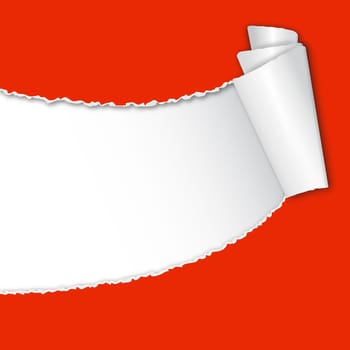 Torn paper with copy space