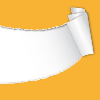 Torn paper with copy space