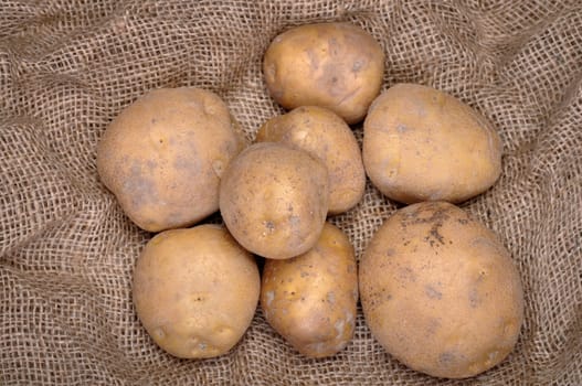 potatoes on burlap sack