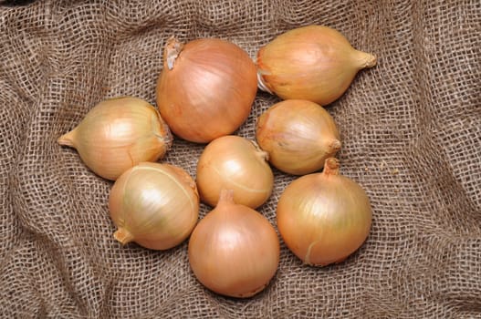 onions on burlap sack