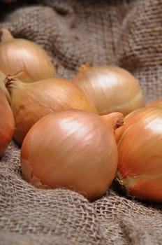 onions on burlap sack