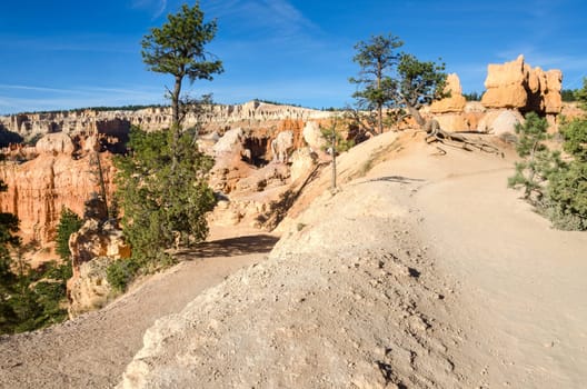 Trail in Bryce Canyon National Park in Utah in the United States of America