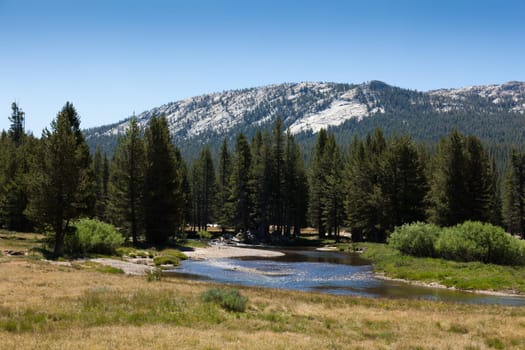 Yosemite national park in California - USA