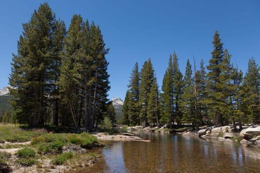 Yosemite national park in California - USA