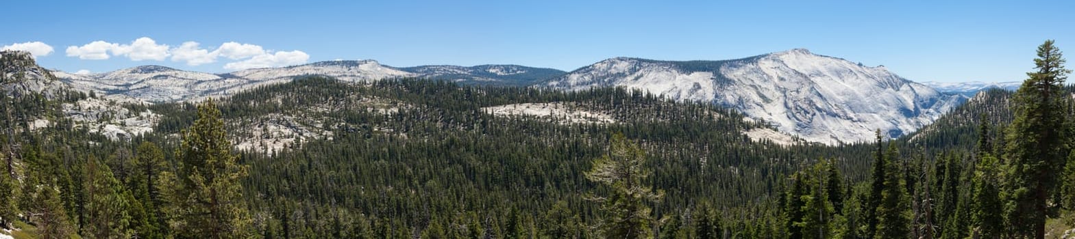 Panoramic view  of Yosemite national park in California - USA