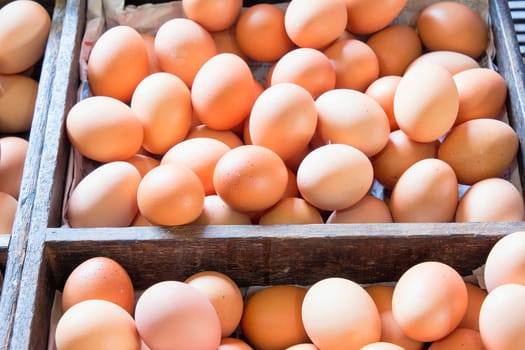 Farm Fresh Brown Chicken Eggs in Wooden Crates at Farmers Market