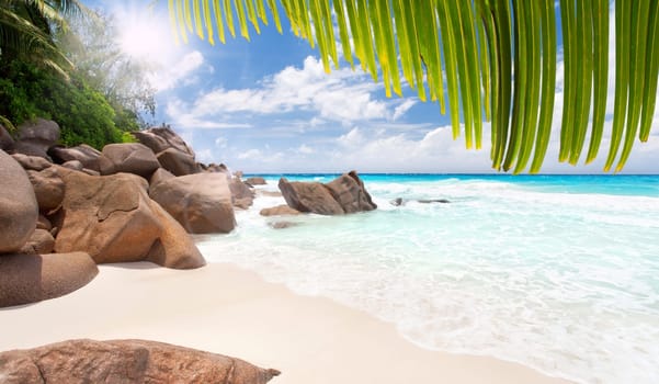 Dream beach Anse Georgette - Seychelles