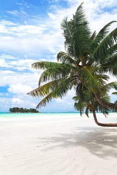 Sunshine at Anse Volpert - Côte D'or