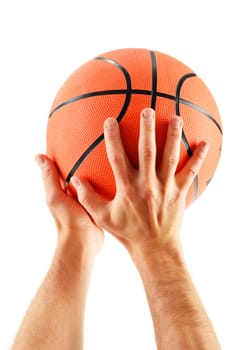 Hands and basketball isolated on white background