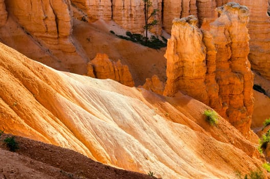 Bryce Canyon National Park in Utah in the United States of America