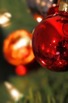 Colorful Christmas Tree Baubles Red Orange on Fir Branch