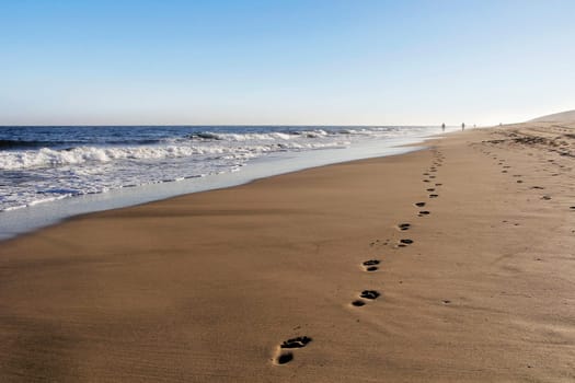 The Trail on the Beach 2