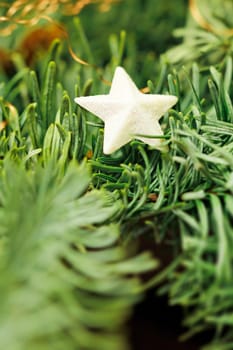 Small star in Christmas wreath