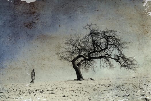 Winter walk