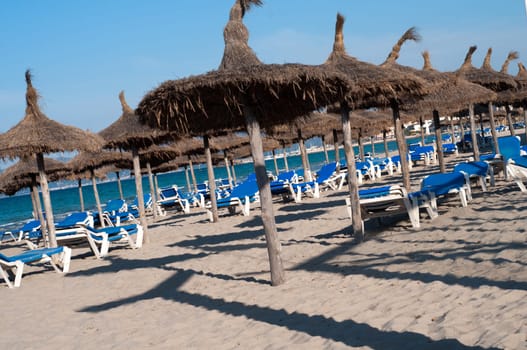 Many chaise longes and parasols on the beach
