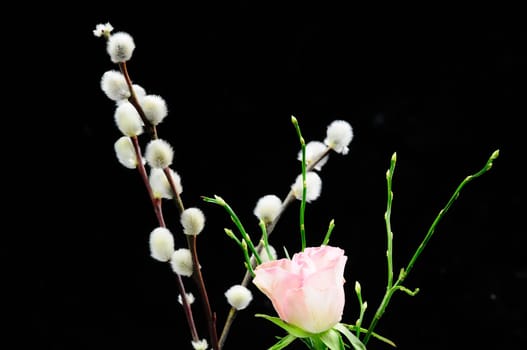 Spring greeting