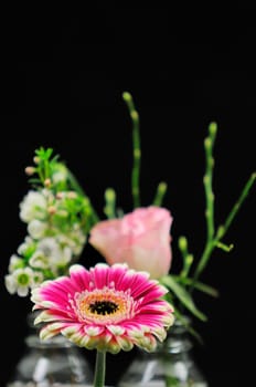 Spring greeting