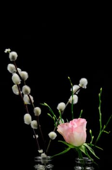 Spring greeting