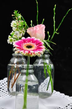 Spring greeting