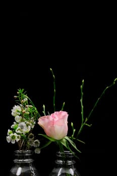Spring greeting