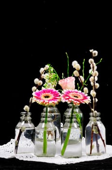 Spring greeting