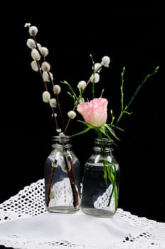 Spring greeting