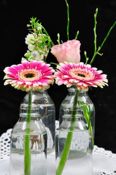 Spring greeting