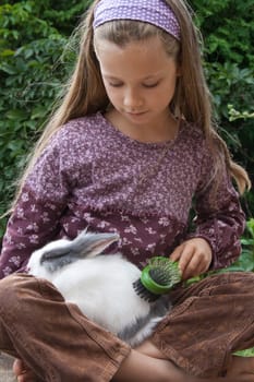 my rabbit