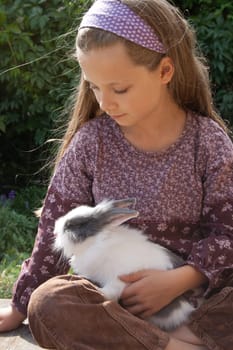 my rabbit