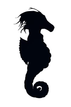 Silhouette of a seahorse over white background