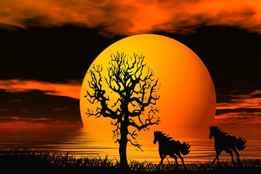 Horses