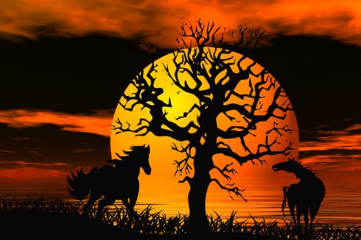 Wild horses