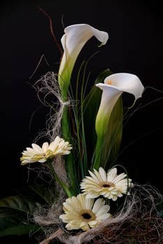 Calla and Gerberea