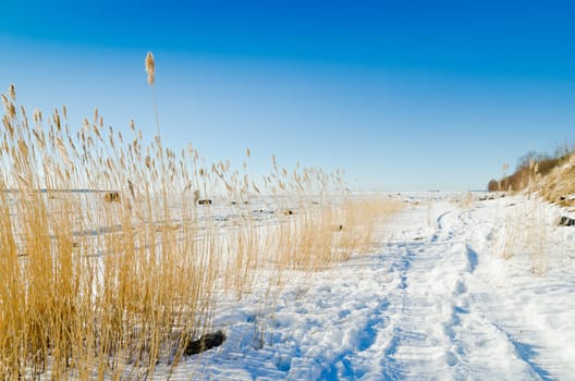 The coast of Baltic sea