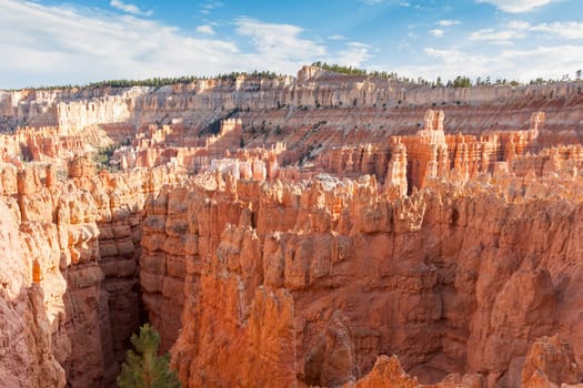Bryce canyon national park in Utah  - USA