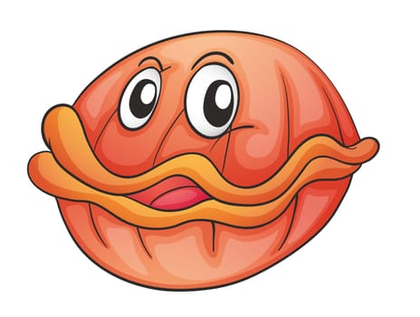 illustration of a shell fish on a white background