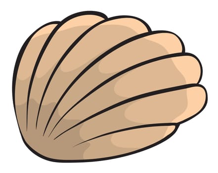 illustration of a shell on a white background