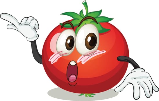 illustration of a tomato on a white background