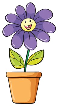 illustration of a flower plant in a pot on a white background