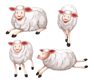 illustration of four sheeps on a white background