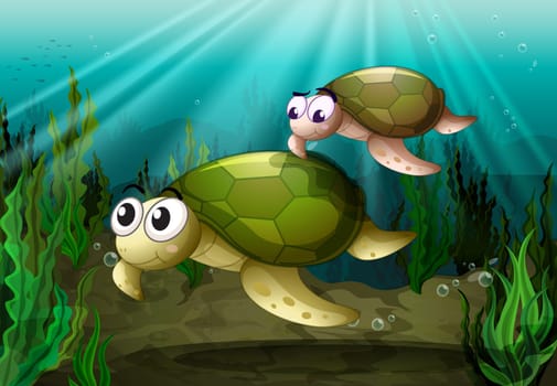 illustration of a tortoise under sea water
