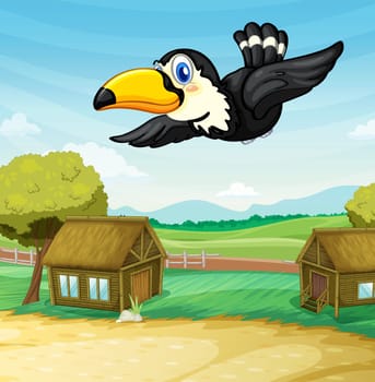 Illustration of toucan gliding through a camping ground