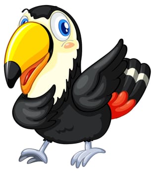 Illustration of a toucan on white background