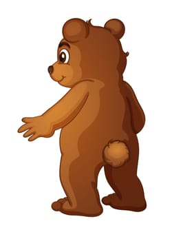 Brown bear on a white background