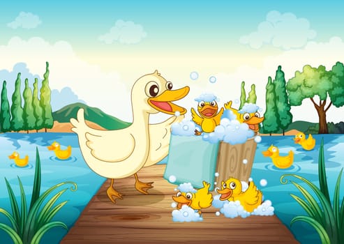 illustration of a river, a bench and ducks in a beautiful nature