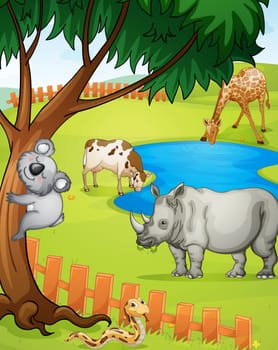 illustration of various animals in nature